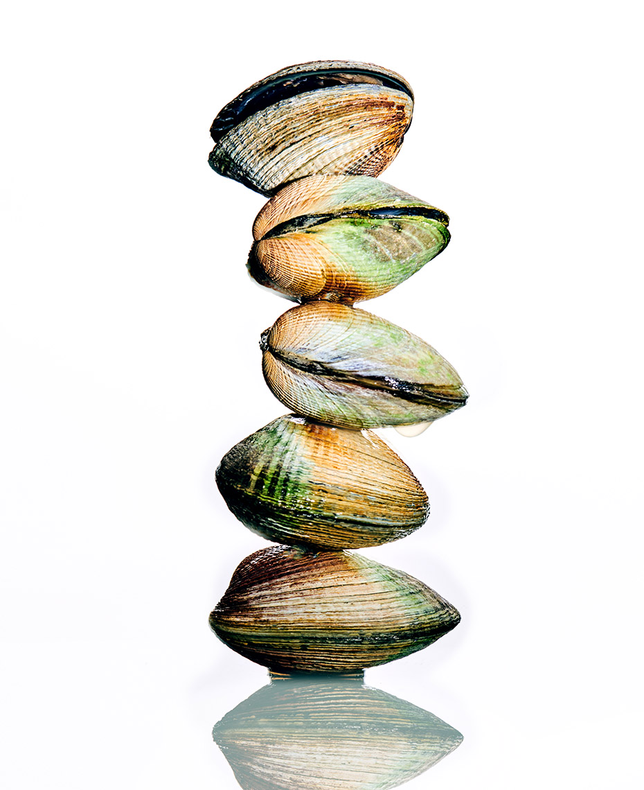 Cockles